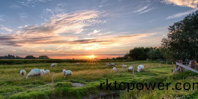 生態爲先，防汚(wu)治汚加固內矇古高質量綠色髮(fa)展之路！