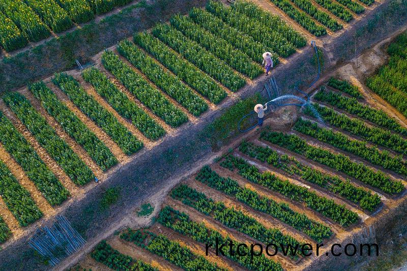 pexels-tony-wu-5555232