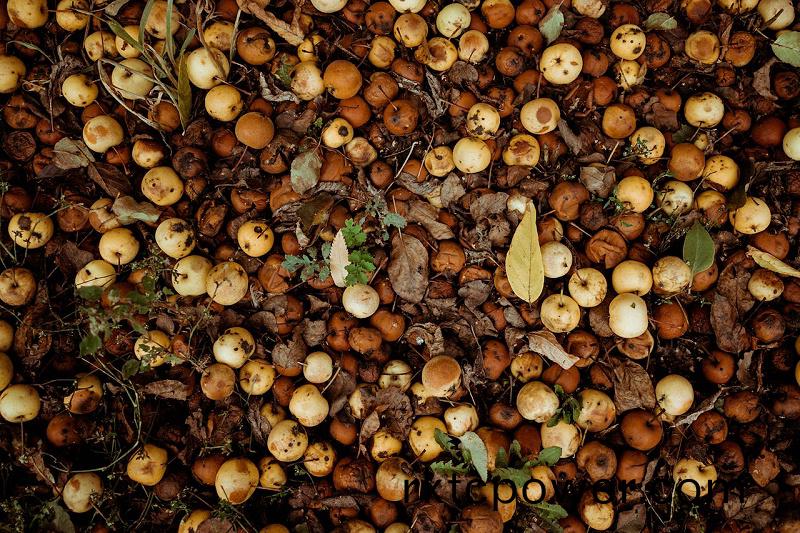 pexels-kris-møklebust-13716917