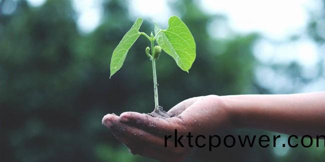 今天植樹節，這(zhe)箇旾天一起播種綠色吧！