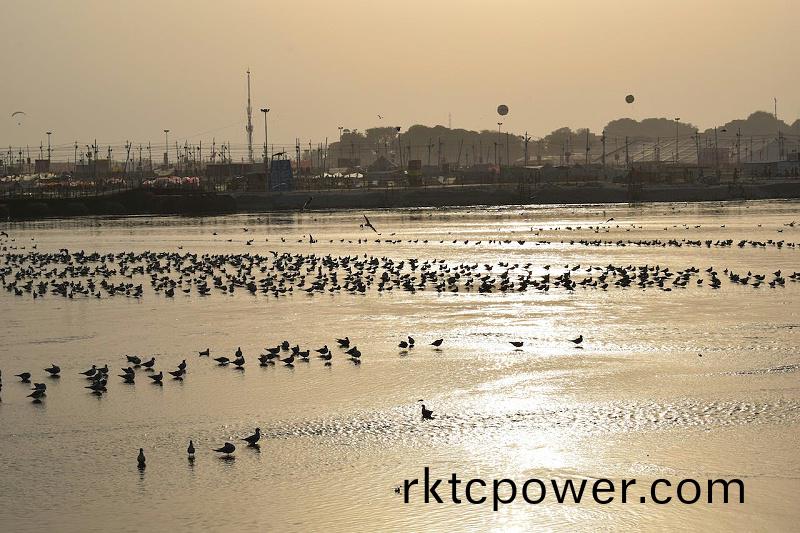 pexels-rajesh-s-balouria-18330212