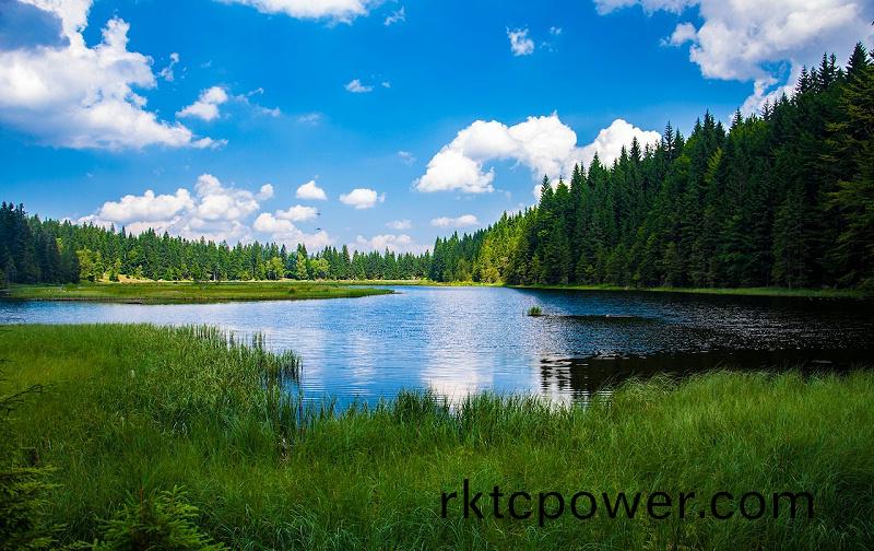 pexels-pixabay-247600